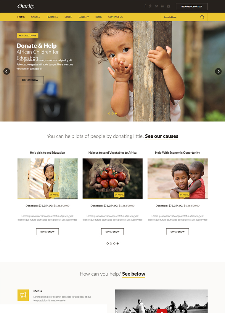 Charity WordPress Theme