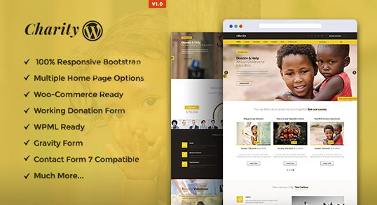 Charity WordPress Theme