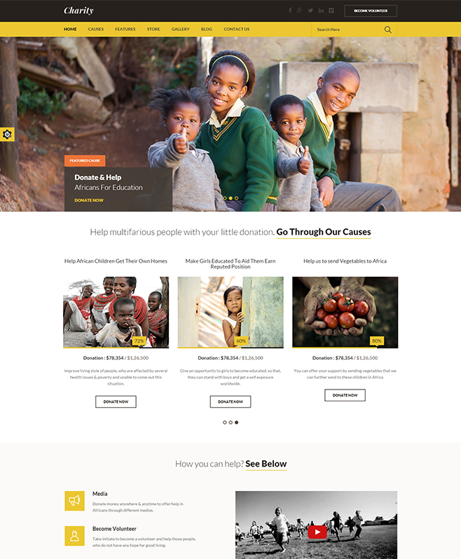 Providing WordPress Theme Suitable for Charitable Trusts