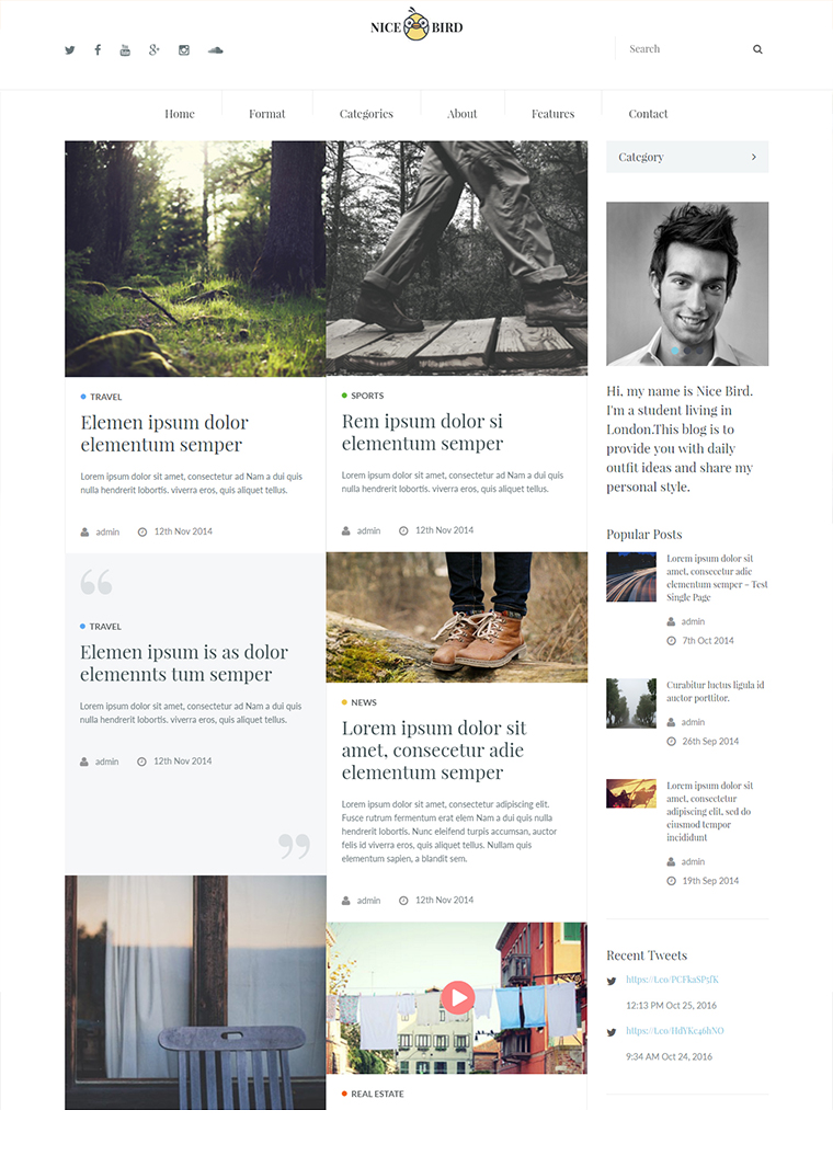 NiceBird WordPress Theme