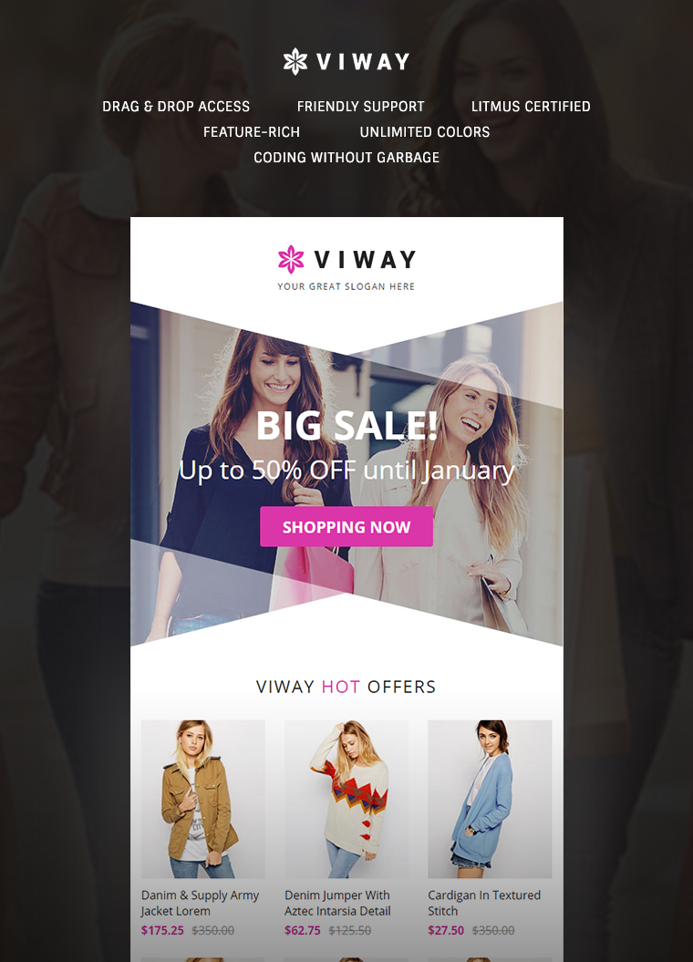 Viway Email Template