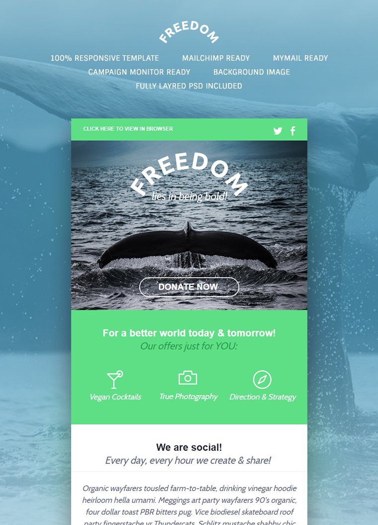 Freedom Newsletter Template