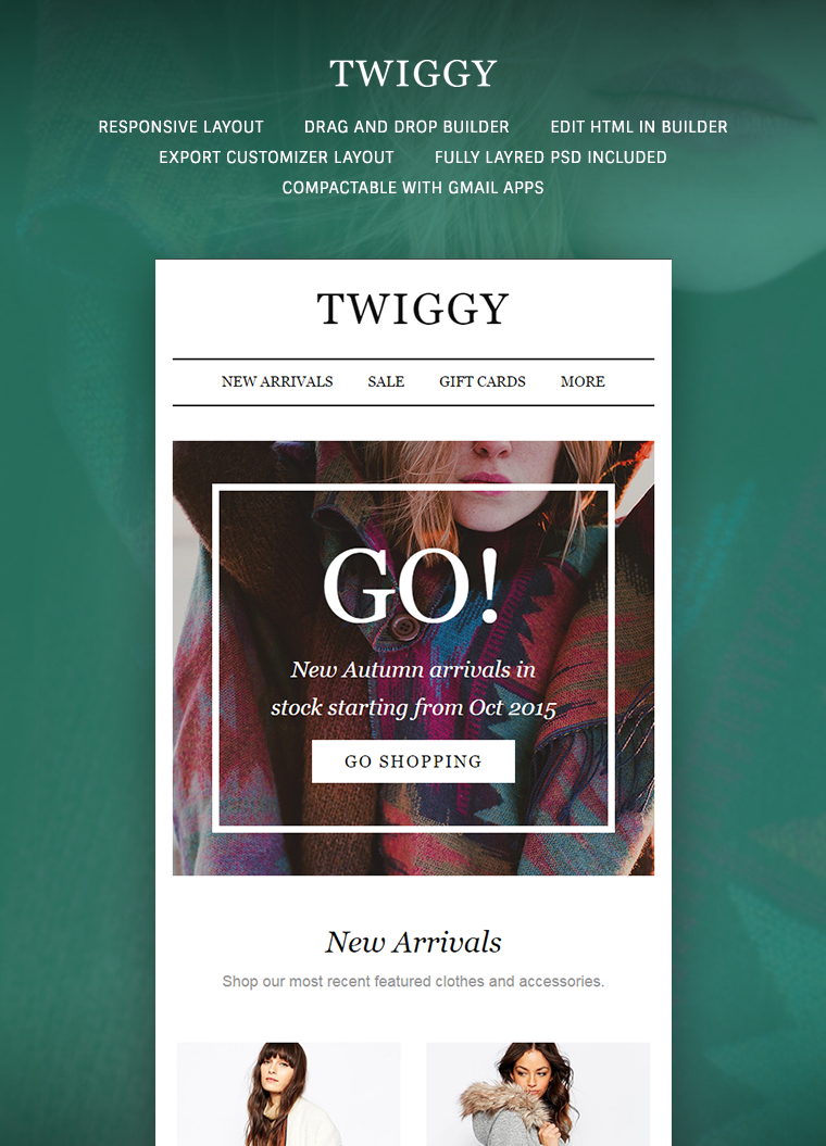 Twiggy Email Template