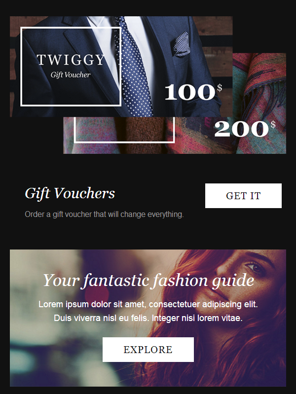 Builder Access Integrated With Twiggy: A Fashion E-Newsletter Template