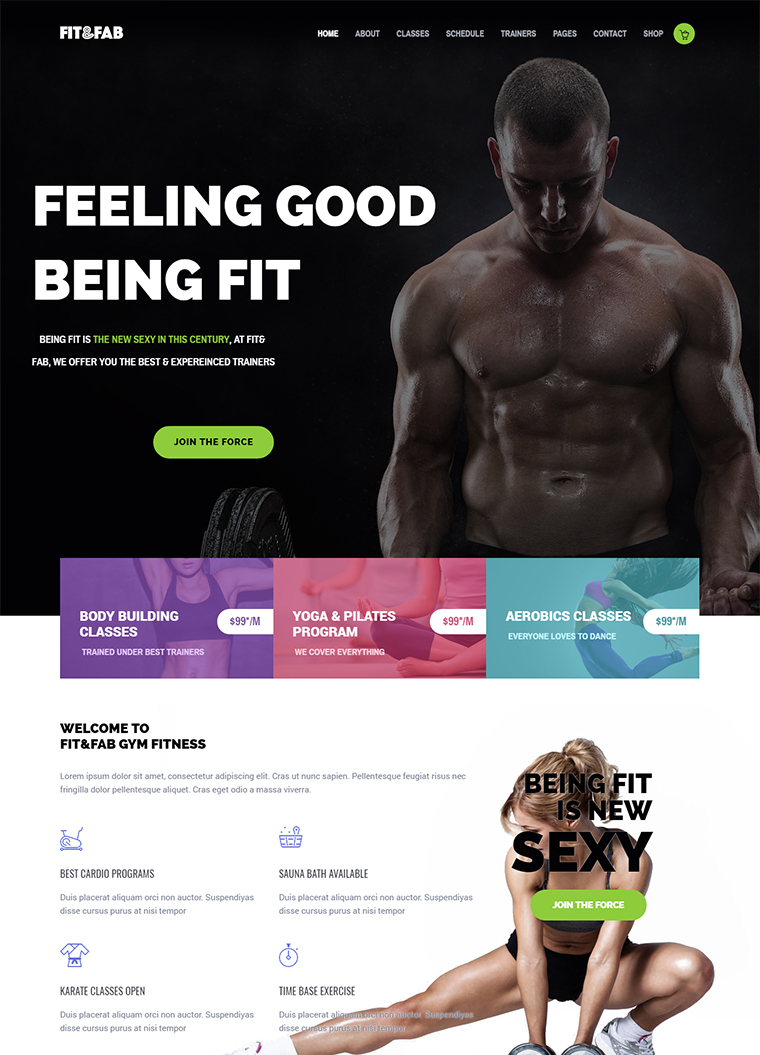 Gym & Fitness Responsive HTML5 Template