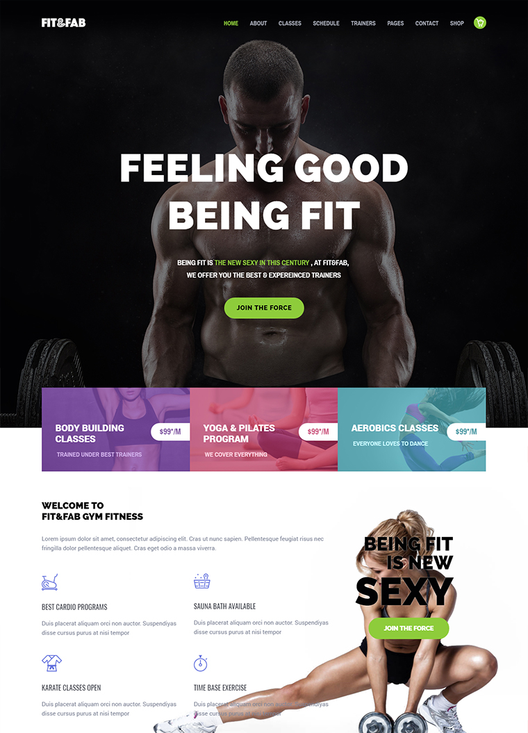 Fitness WordPress Theme