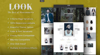 Look WordPress Theme