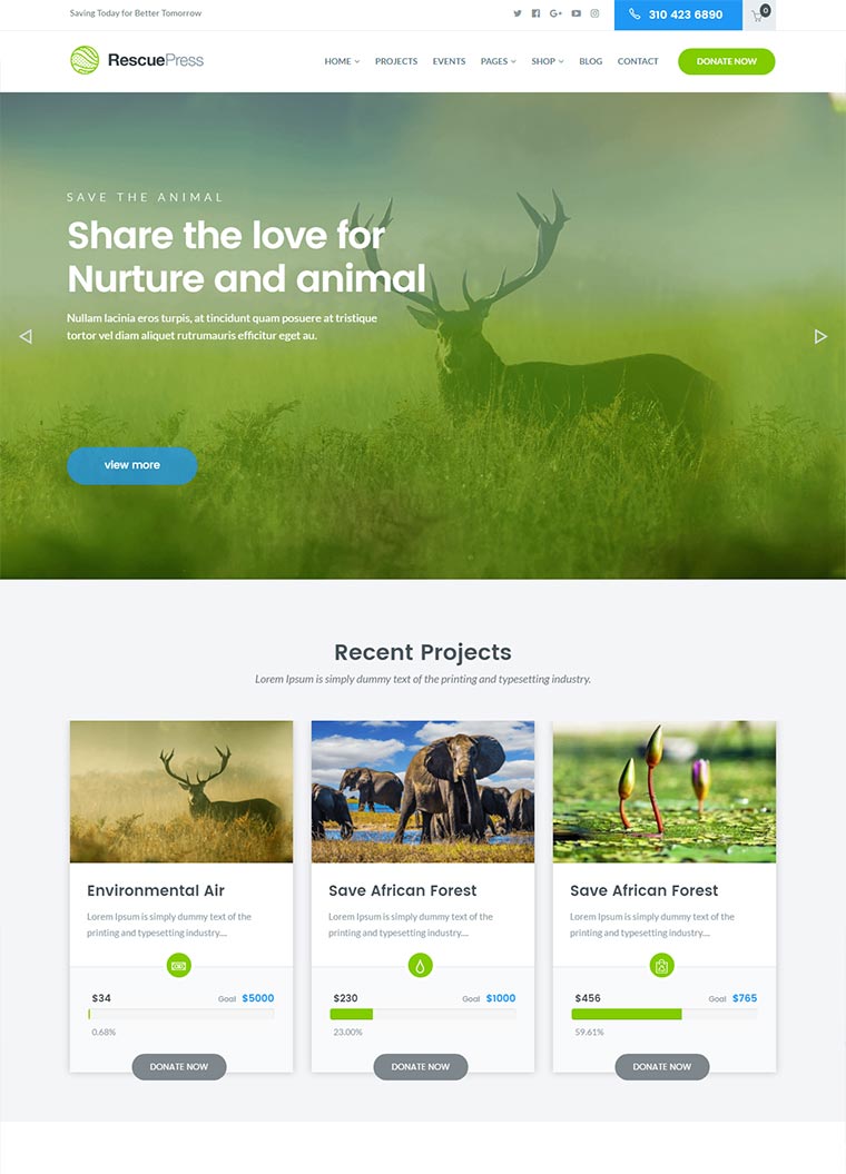 RescuePress Environmental WordPress Theme